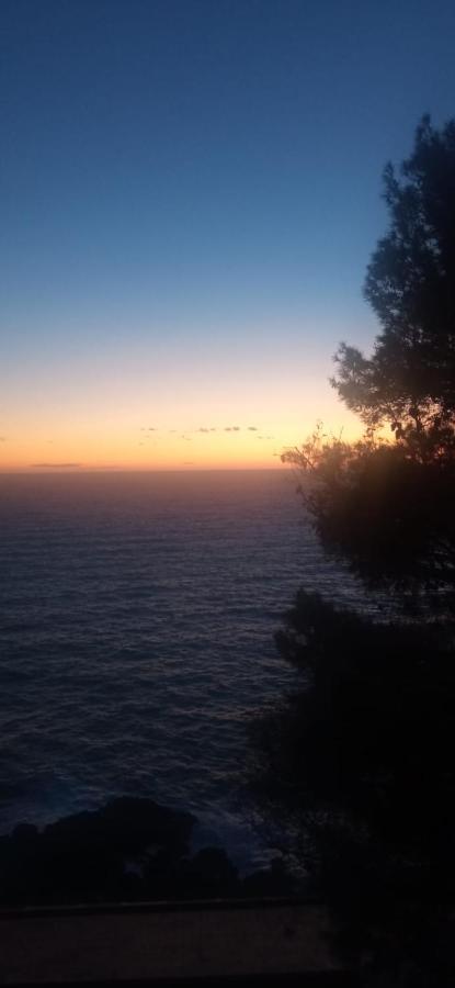 Cinqueterre National Park Sea View Διαμέρισμα Framura Εξωτερικό φωτογραφία