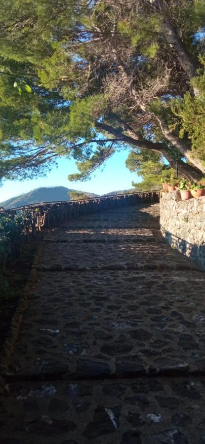 Cinqueterre National Park Sea View Διαμέρισμα Framura Εξωτερικό φωτογραφία
