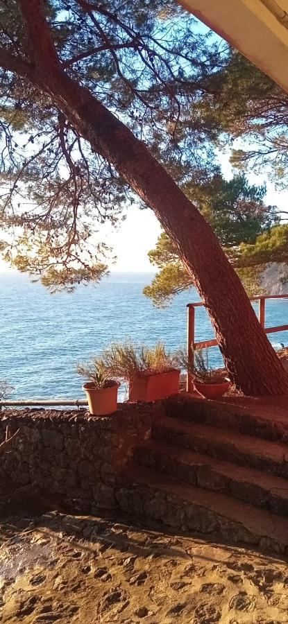 Cinqueterre National Park Sea View Διαμέρισμα Framura Εξωτερικό φωτογραφία