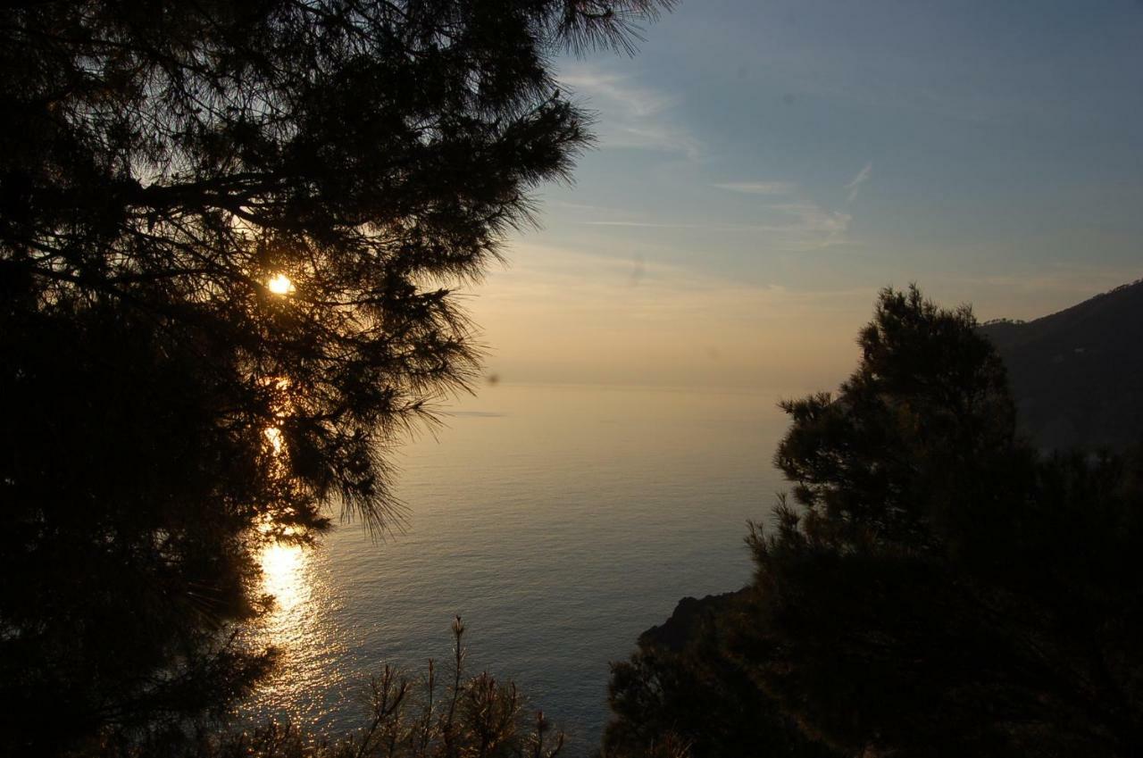 Cinqueterre National Park Sea View Διαμέρισμα Framura Εξωτερικό φωτογραφία